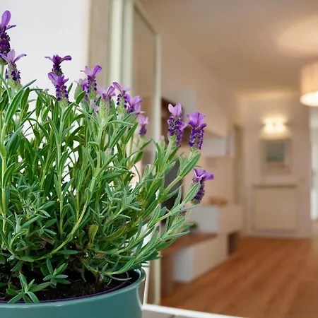 Cala Luna - Apulian Group *